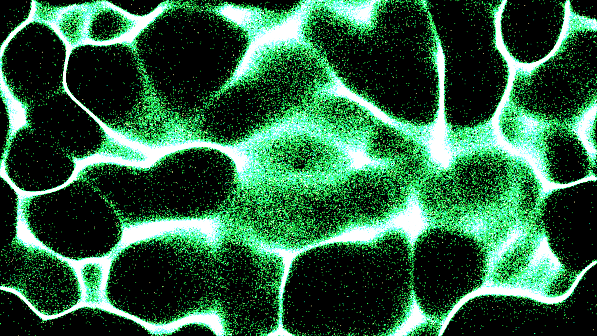 A Networked Epistemology: Individual & Collective Thriving in the 21st Century